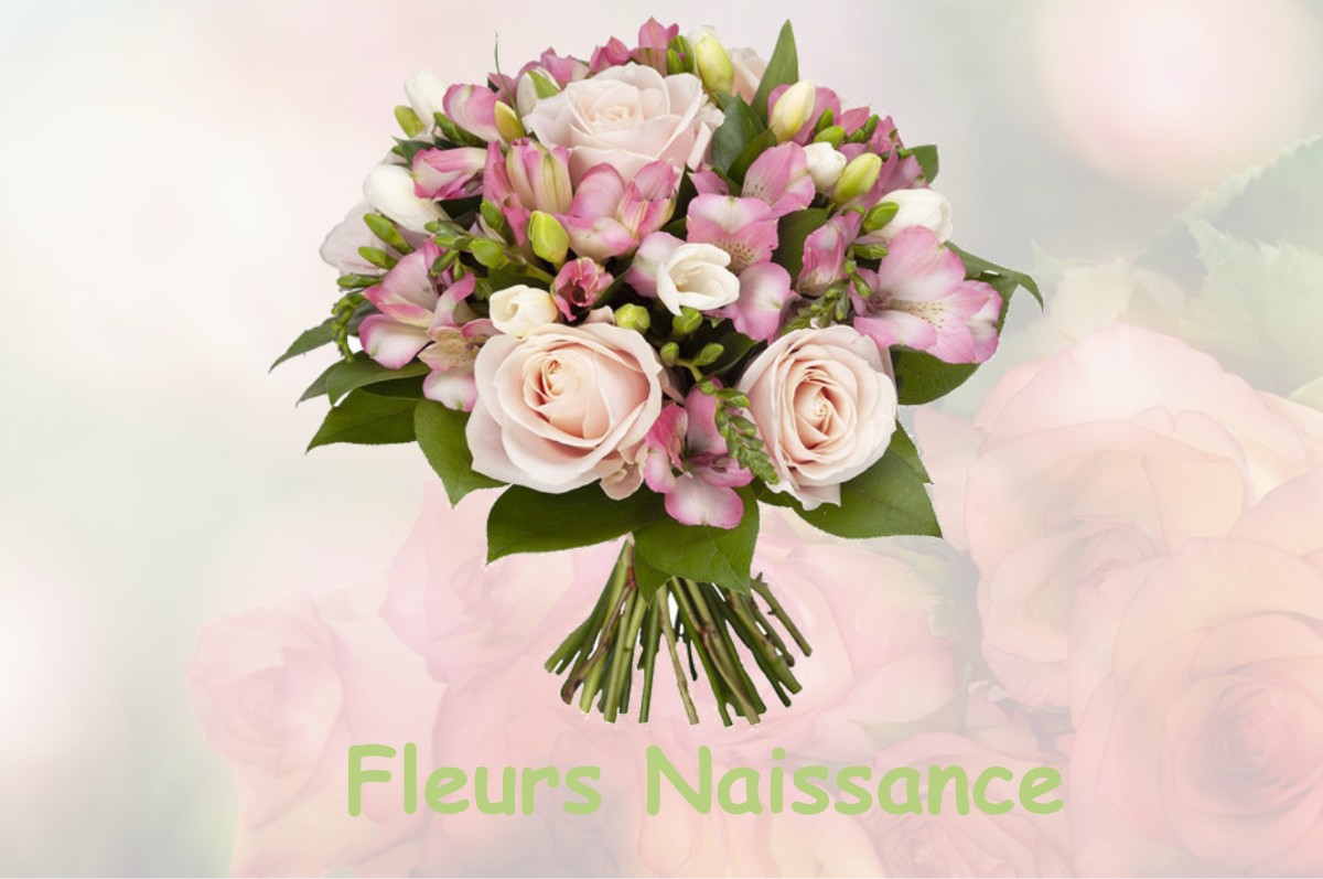 fleurs naissance L-EPINE-AUX-BOIS